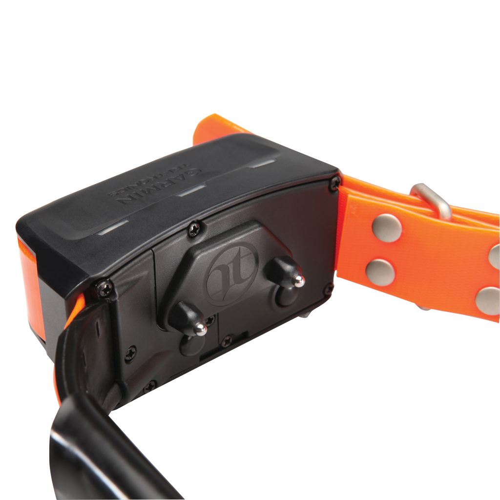 Garmin Alpha TT15 dog collar from the Alpha Mini Bundle, orange strap, model 010-01486-30