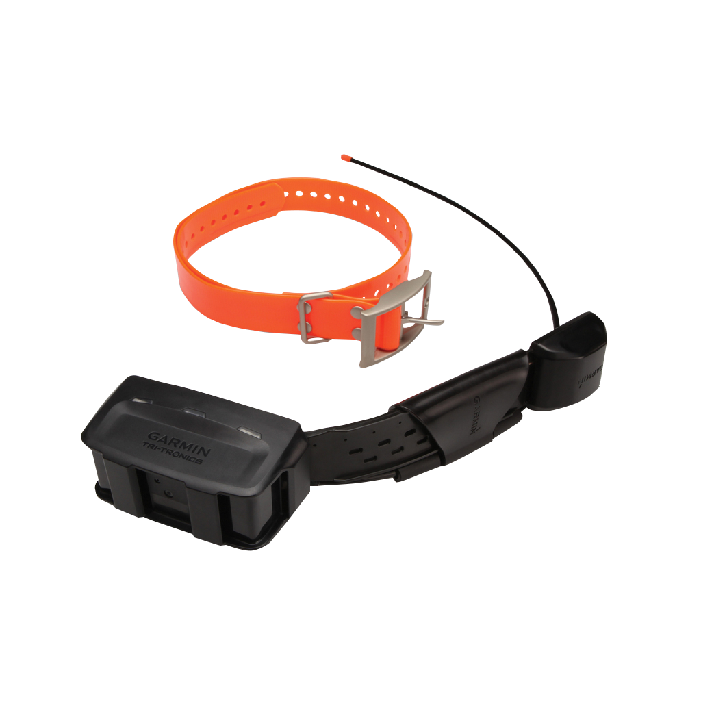 Garmin Alpha Mini Bundle: orange adjustable dog collar and black TT15 unit, two-item set