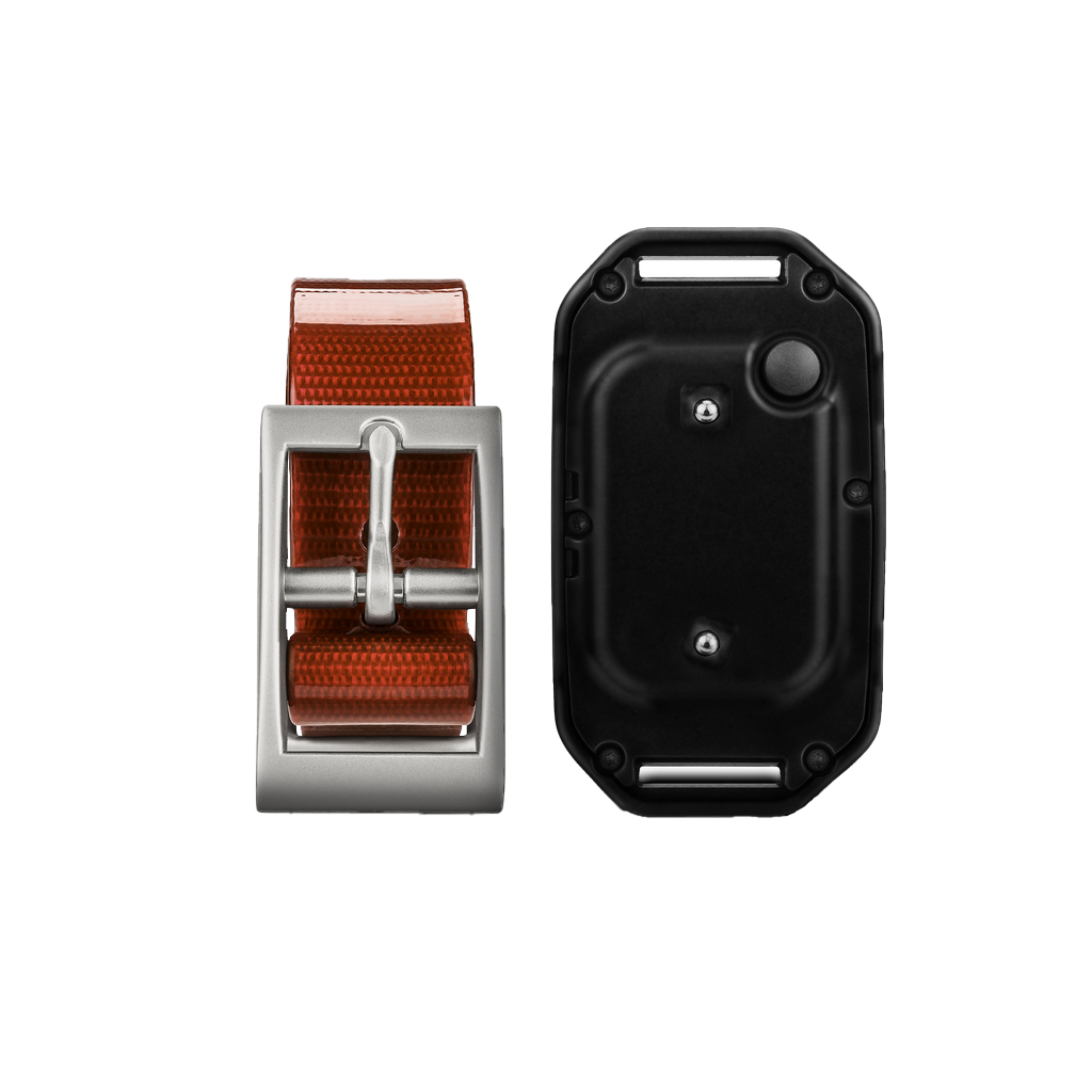 Garmin PT 10 dog device with red collar strap (2-piece set)
