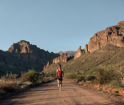 Garmin Forerunner 955 Solar Black (010-02638-00) by Garmin