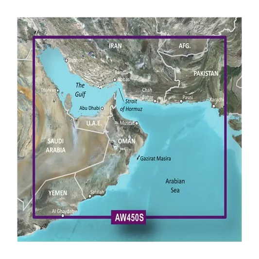 Garmin The Gulf Coastal Charts BlueChart g3 Vision | VAW450S | microSD/SD by Garmin