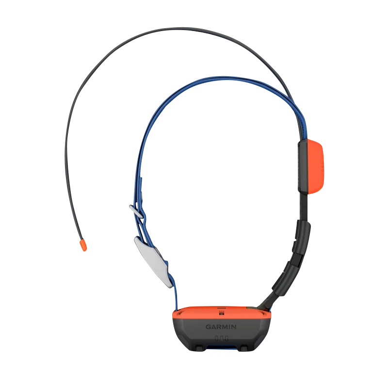Garmin Alpha T 20 dog collar with orange GPS module on blue strap