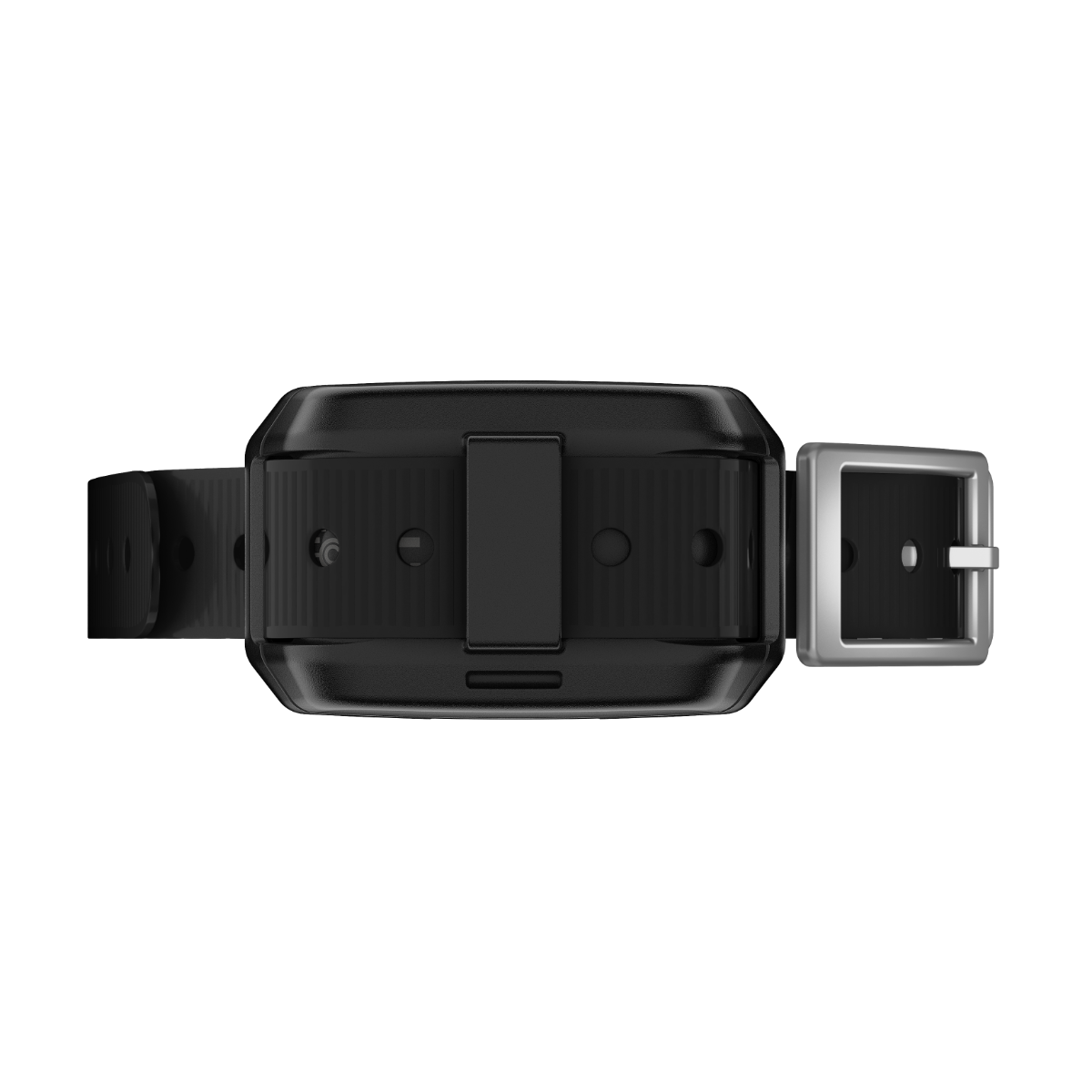 Garmin Delta SE dog training collar with black strap and silver buckle