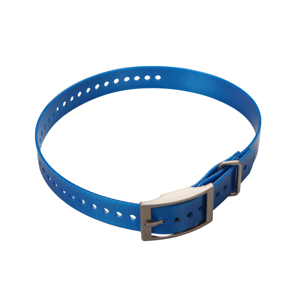 Garmin 1-inch Collar Strap, blue with square buckle