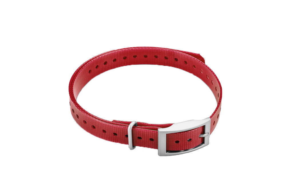 Garmin 3/4-inch red collar strap with square buckle