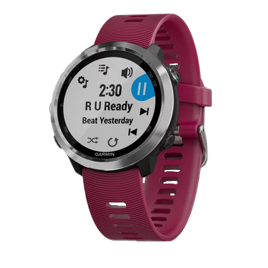 Garmin Forerunner 645 (Music) - Cerise (010-01863-21) by Garmin
