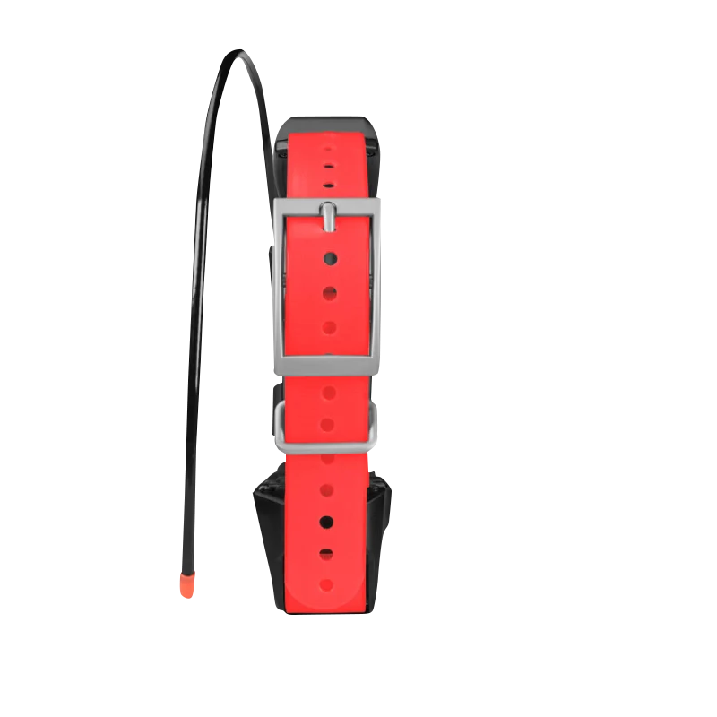 Garmin TT 15X dog collar with red strap and silver buckle; hunting dog collar