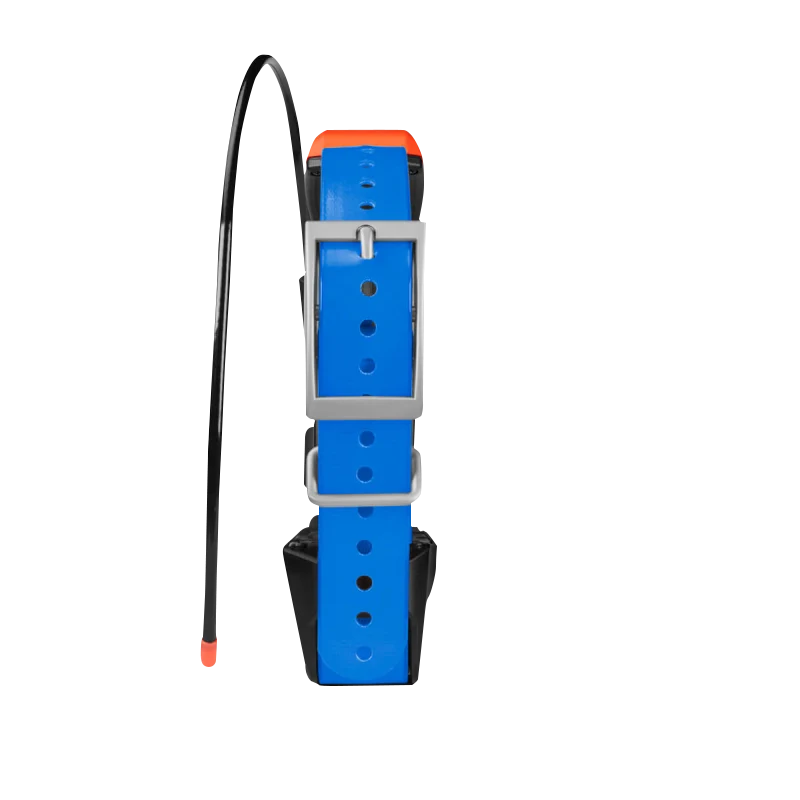 Garmin T5X dog collar with blue strap, orange module and silver buckle