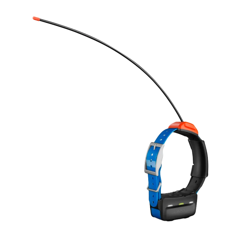 Garmin T5X dog collar GPS tracker with blue strap and orange housing