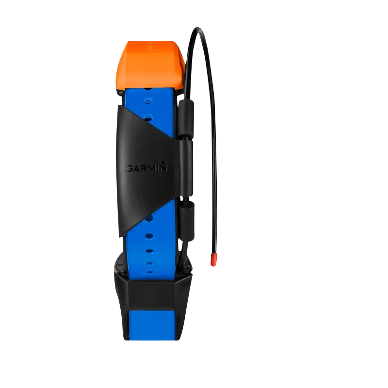 Garmin T5X Dog Collar with blue strap and orange top, GPS tracking collar