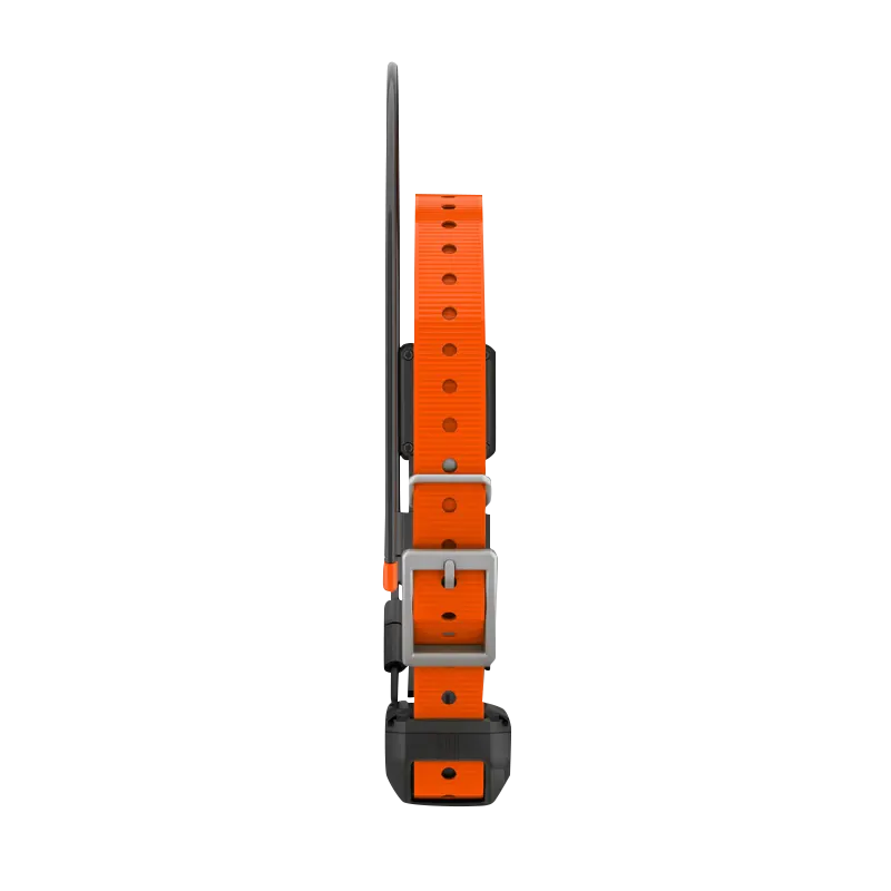 Garmin Alpha TT 25 Dog Collar, orange GPS tracking and training collar