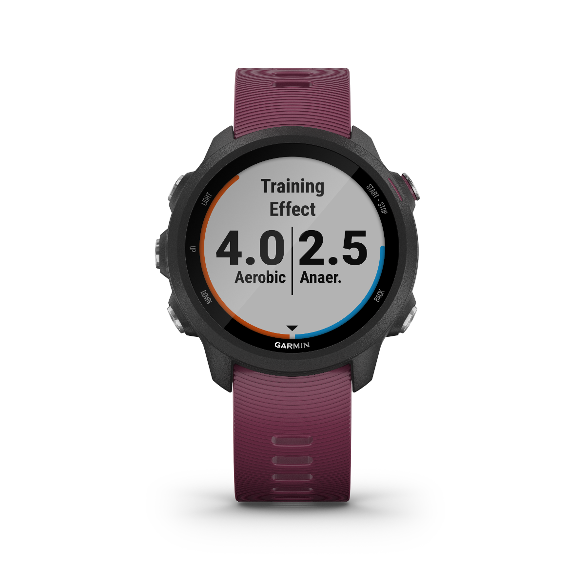 Garmin Forerunner 245, Berry, Premium Fitness GPS Smartwatch for Runners (010-02120-01) by Garmin