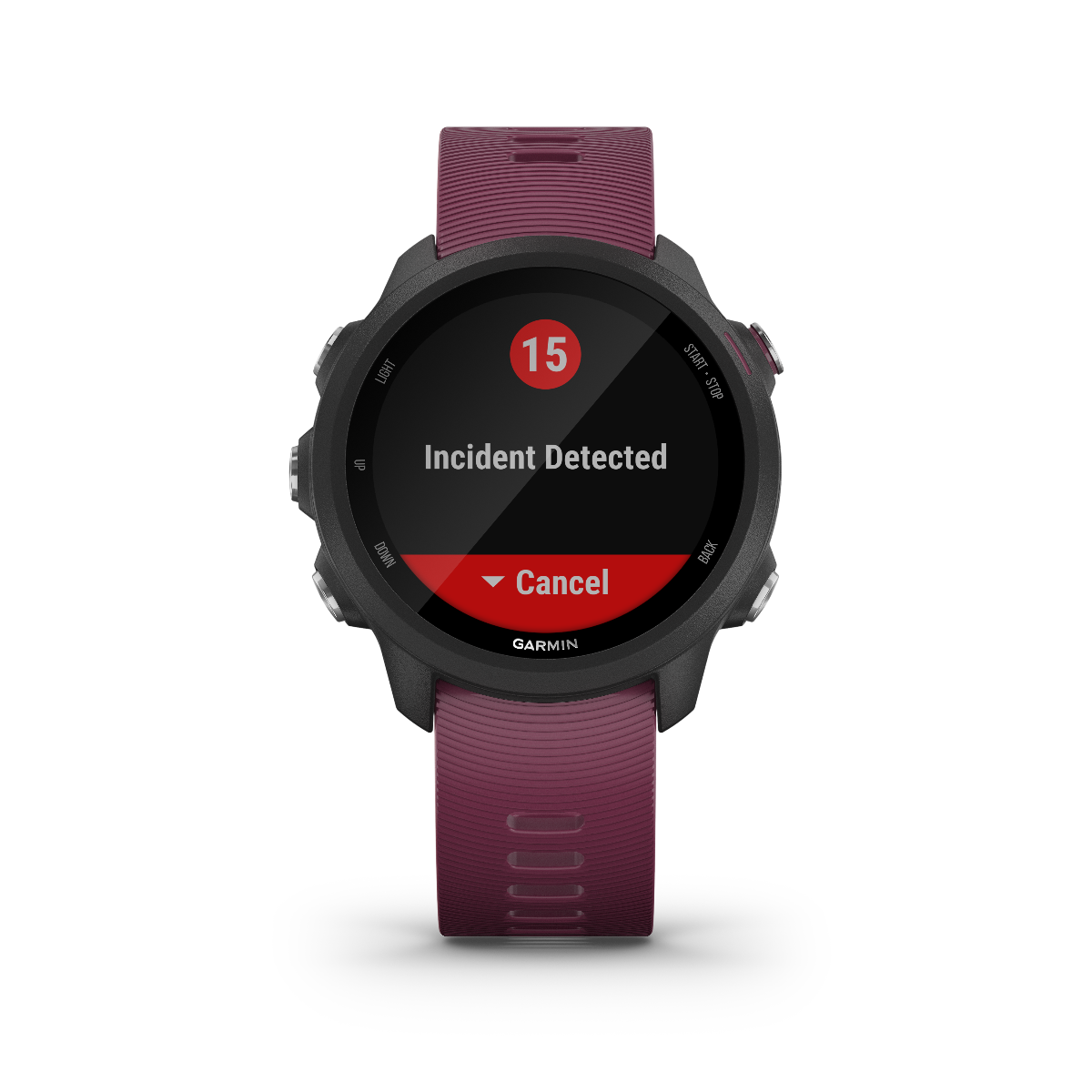 Garmin Forerunner 245, Berry, Premium Fitness GPS Smartwatch for Runners (010-02120-01) by Garmin
