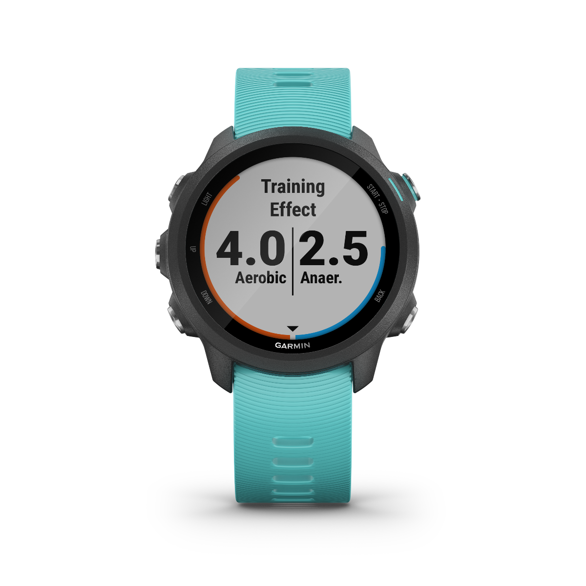 Garmin Forerunner 245 Music, Aqua, Premium Fitness GPS Smartwatch for Runners (010-02120-22) by Garmin