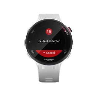 Garmin Forerunner 45S - White by Garmin