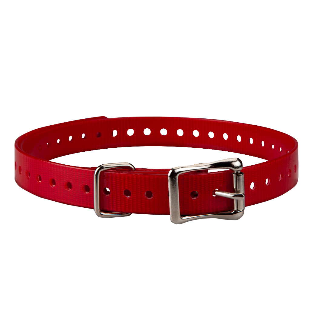 Garmin 3/4-inch Collar Strap, Red, Square Buckle (010-11870-02)