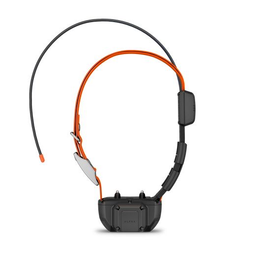 Garmin Alpha TT 25 Dog Collar w/ Tracking Beeper (010-03383-20)