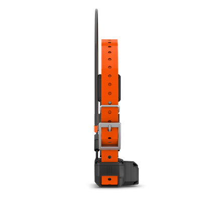 Collar para perros Garmin Alpha TT 25, collar de adiestramiento y seguimiento GPS para perros (010-02447-20)