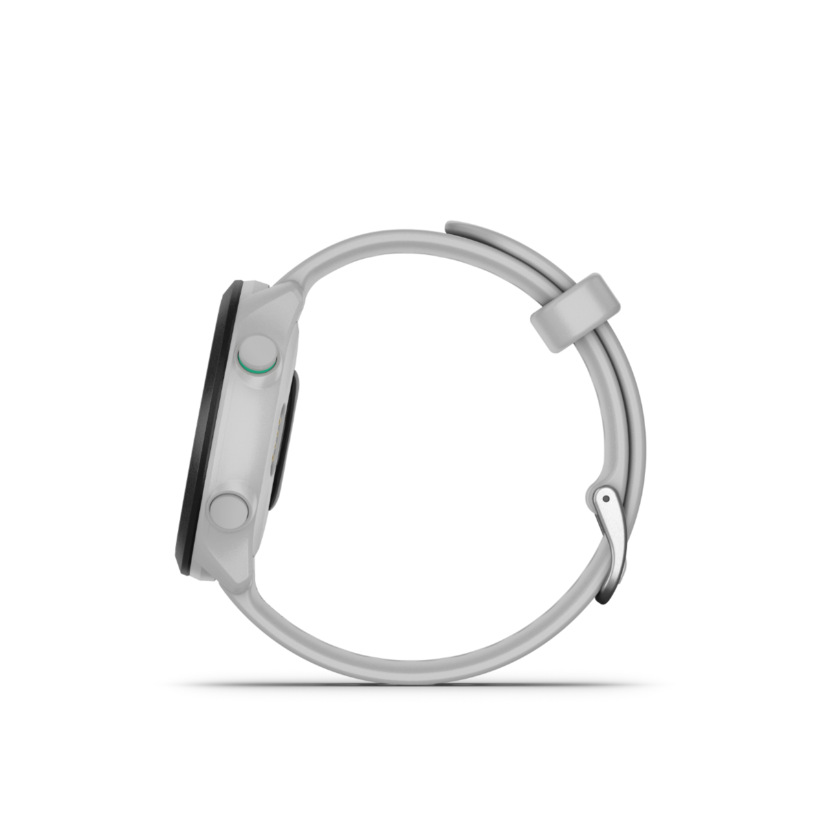 Garmin Forerunner 55, White, GPS Fitness Smartwatch (Garmin Certified Refurbished)