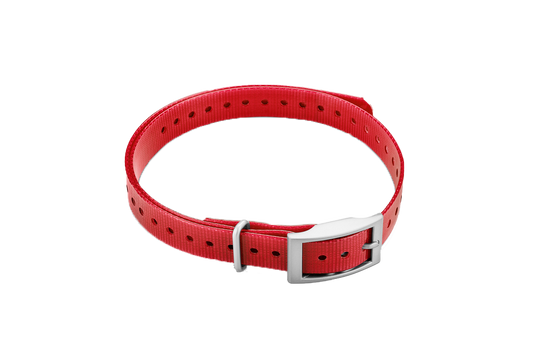 Garmin 3/4-inch Collar Strap, Red, Square Buckle (010-11870-02) by Garmin