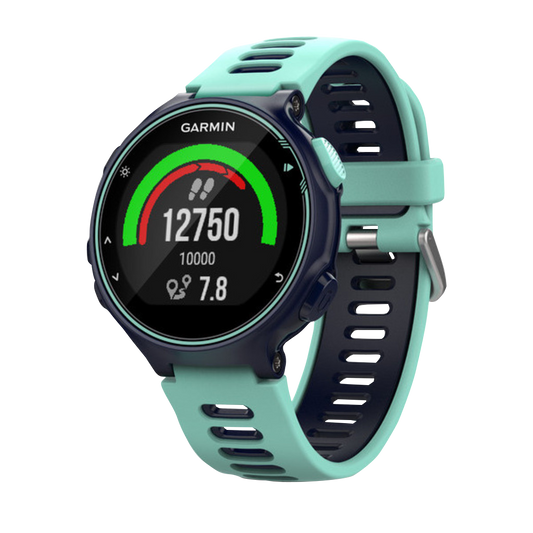 Garmin Forerunner 735XT Midnight Frost & Frost Blue (010-01614-01) by Garmin