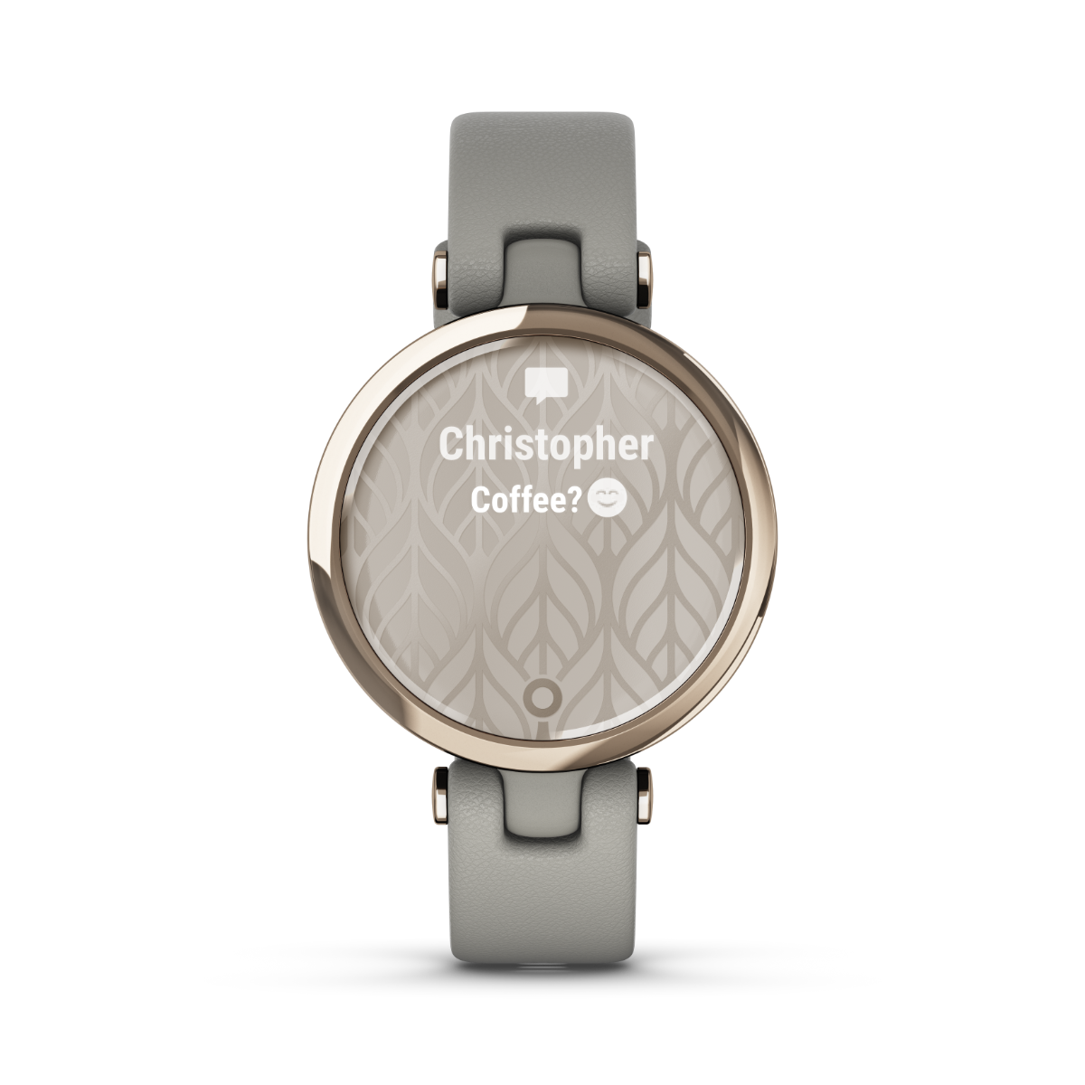 Garmin Lily Classic Edition, Cream Gold Bezel with Braloba Gray Case and Italian Leather Band (010-02384-A2)