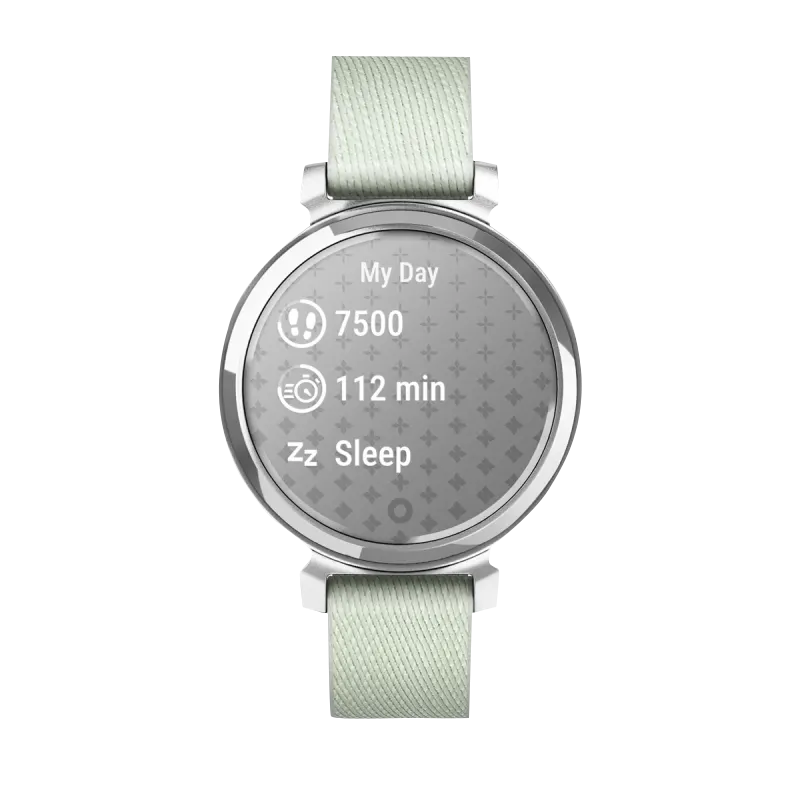 Garmin Lily 2 Classic, Silver with Sage Gray Nylon Band (010-02839-15)