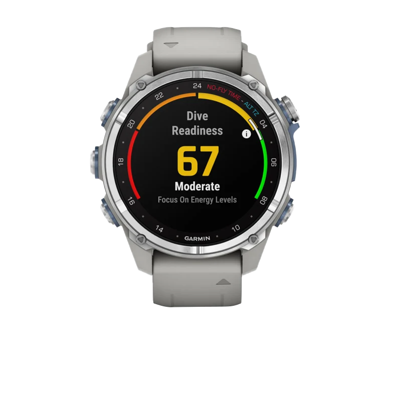 Garmin Descent Mk3, 43 mm Stainless Steel with Fog Gray Silicone Band (010-02753-03)