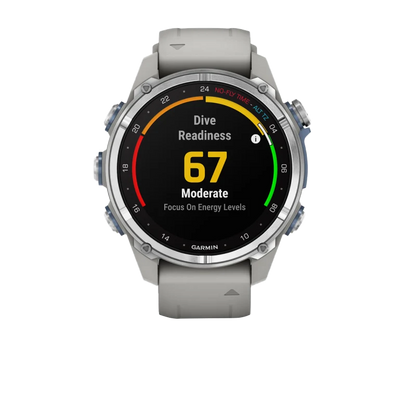 Garmin Descent Mk3, 43 mm Stainless Steel with Fog Gray Silicone Band (010-02753-03)