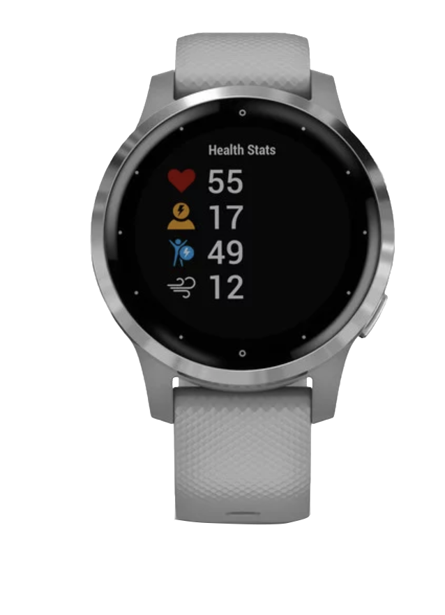 Garmin Vivoactive 4S - Silver with Gray Band (010-02172-01) by Garmin