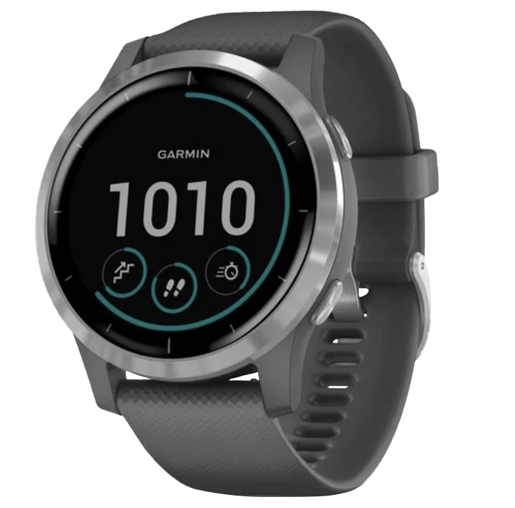 Garmin Vivoactive 4 - Silver with Shadow Gray Band (010-02174-01)