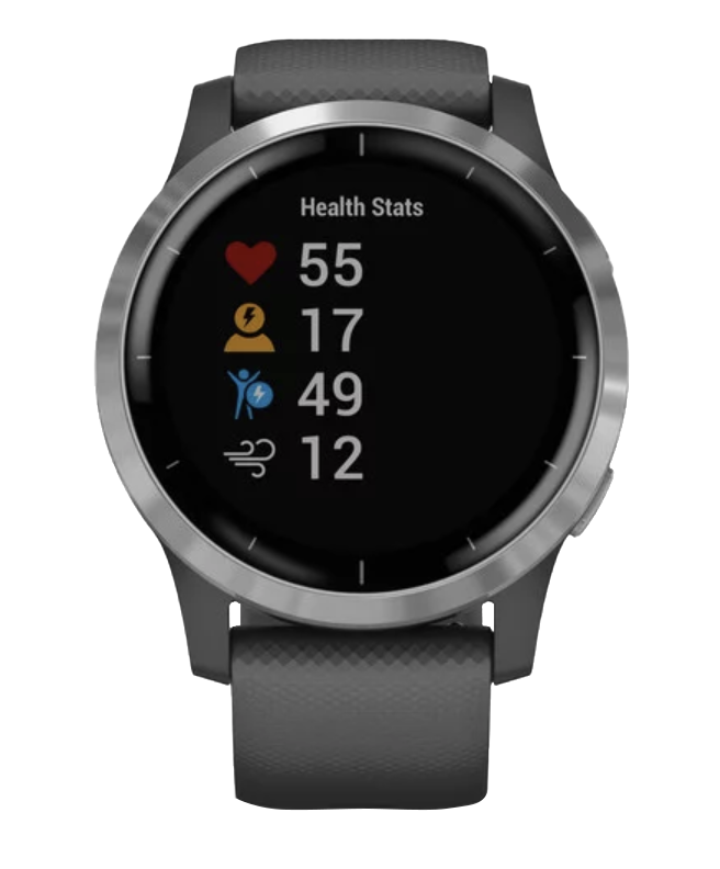Garmin Vivoactive 4 - Silver with Shadow Gray Band (010-02174-01)
