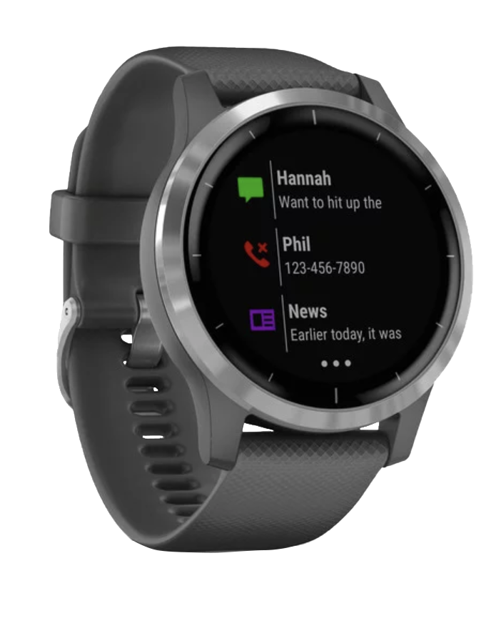 Garmin Vivoactive 4 - Silver with Shadow Gray Band (010-02174-01)